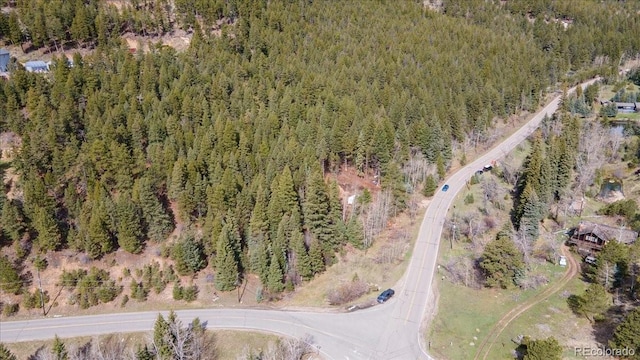 1521 Witter Gulch Rd, Evergreen, CO 80439 - photo 10
