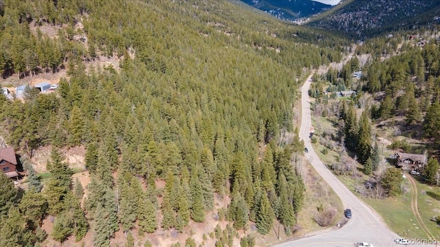 1521 Witter Gulch Rd, Evergreen, CO 80439 - photo 11
