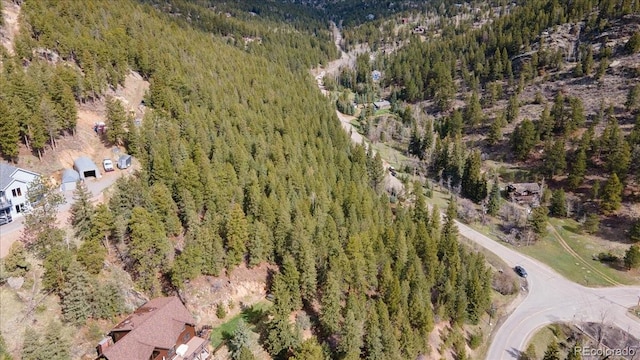 1521 Witter Gulch Rd, Evergreen, CO 80439 - photo 13