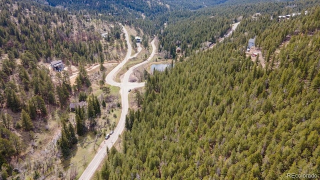 1521 Witter Gulch Rd, Evergreen, CO 80439 - photo 14