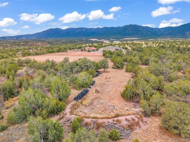 491 Newlin Ridge Rd, Florence, CO 81226 - view of mountain background