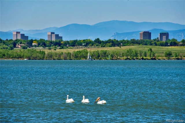 water view featuring mountains