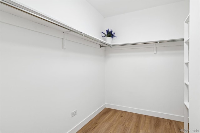 walk in closet with hardwood / wood-style floors