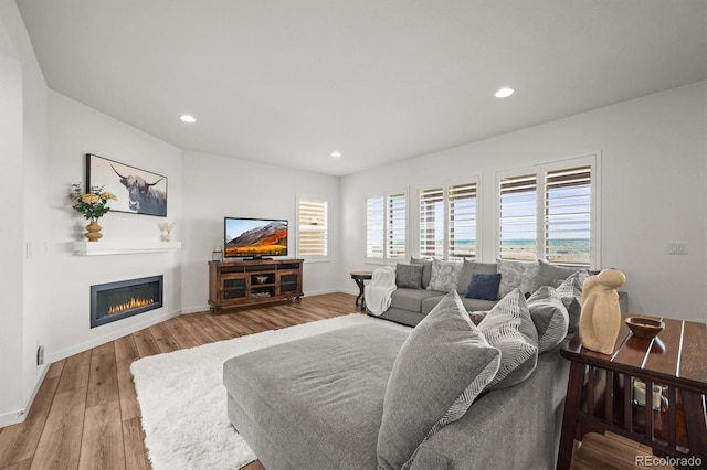 14102 Night Owl Ln, Parker, CO 80134 - living area with wood finished floors, a glass covered fireplace, recessed lighting, and baseboards