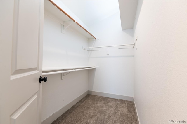 walk in closet with light carpet