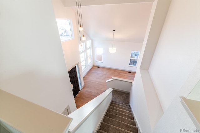 staircase with hardwood / wood-style floors and a high ceiling