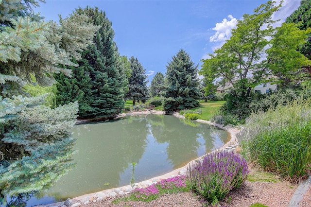 8101 E Dartmouth Ave Unit 22, Denver, CO 80231 - water view