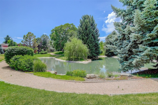 8101 E Dartmouth Ave Unit 22, Denver, CO 80231 - water view
