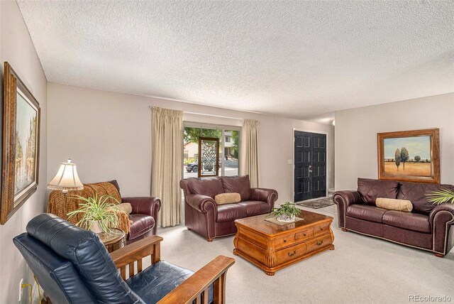 living room featuring a textured ceiling