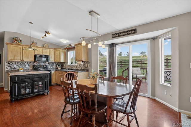 10700 Mount Antero Way, Parker, CO 80138 - photo 5