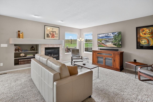 10700 Mount Antero Way, Parker, CO 80138 - photo 8