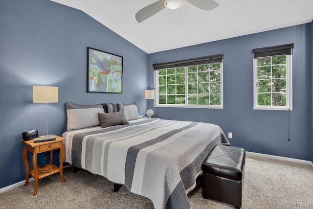 10700 Mount Antero Way, Parker, CO 80138 - photo 10