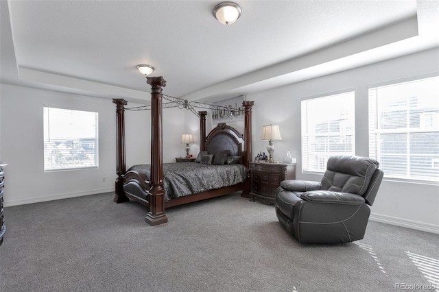 carpeted bedroom featuring multiple windows