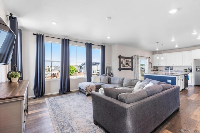 living room with dark hardwood / wood-style flooring and sink