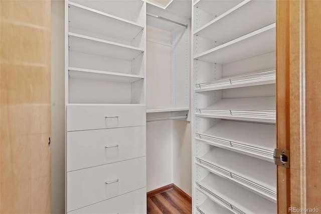 walk in closet featuring dark wood-type flooring