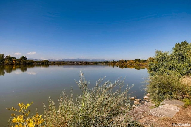2028 Perry St, Denver, CO 80212 - water view