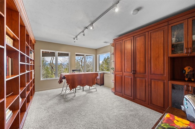 12653 Rancho Ct, Conifer, CO 80433 - carpeted office space with track lighting and baseboards