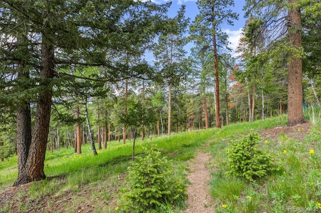 12653 Rancho Ct, Conifer, CO 80433 - view of woods