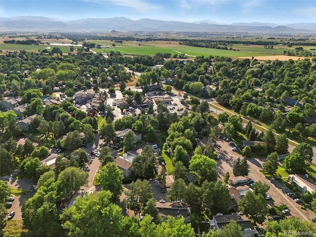 8060 Niwot Rd Unit 34, Niwot, CO 80503 - photo 19