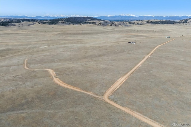 3179 Rhyolite Dr, Hartsel, CO 80449