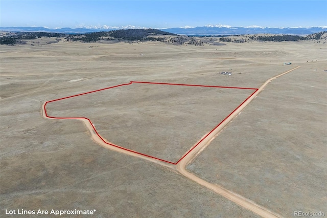 3179 Rhyolite Dr, Hartsel, CO 80449
