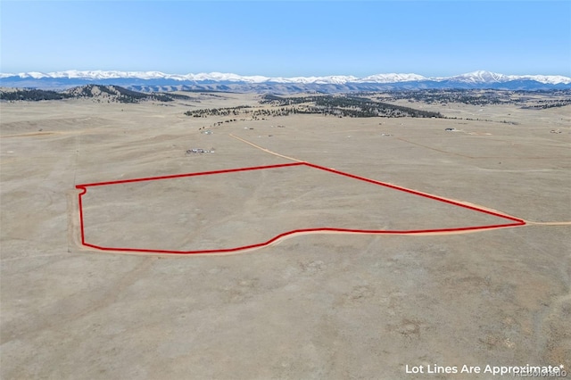 3179 Rhyolite Dr, Hartsel, CO 80449
