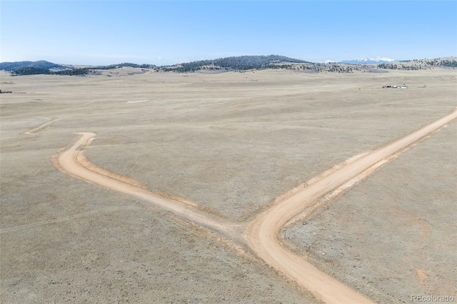 3179 Rhyolite Dr, Hartsel, CO 80449