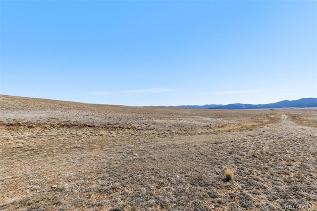 3179 Rhyolite Dr, Hartsel, CO 80449