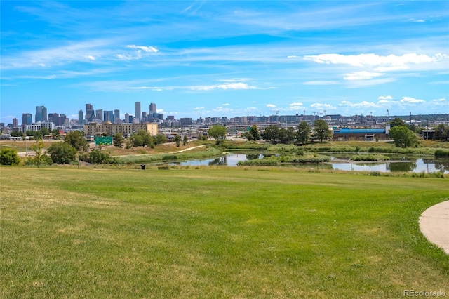 323 Irving St, Denver, CO 80219 - photo 26