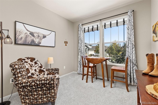 sitting room featuring light carpet