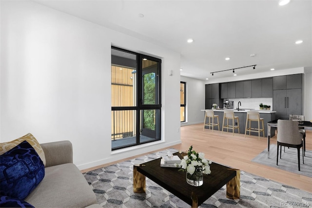 1601 Park Ave Unit 307, Denver, CO 80218 - living room with light wood finished floors, baseboards, recessed lighting, and track lighting