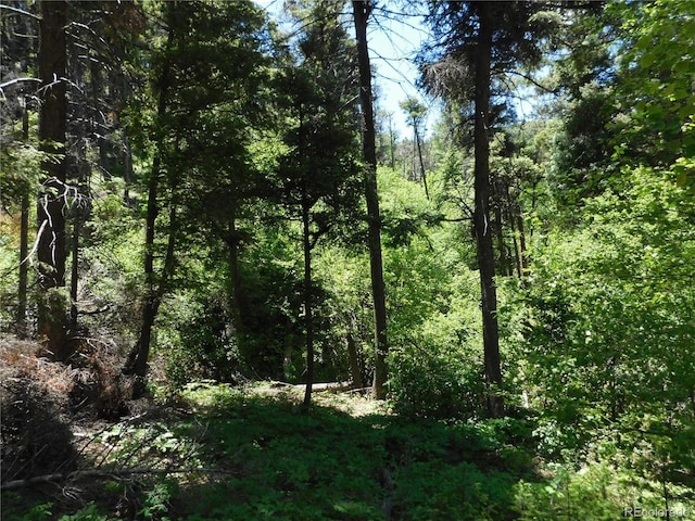 13371 Spruce Creek Cir, Larkspur, CO 80118