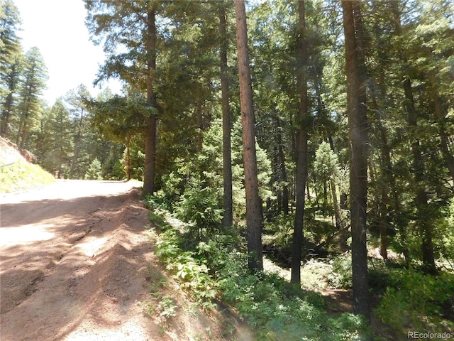 13371 Spruce Creek Cir, Larkspur, CO 80118