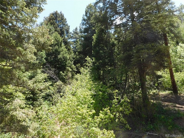 13371 Spruce Creek Cir, Larkspur, CO 80118