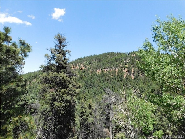 13371 Spruce Creek Cir, Larkspur, CO 80118