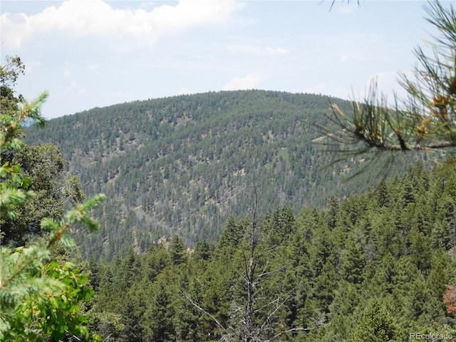 13371 Spruce Creek Cir, Larkspur, CO 80118