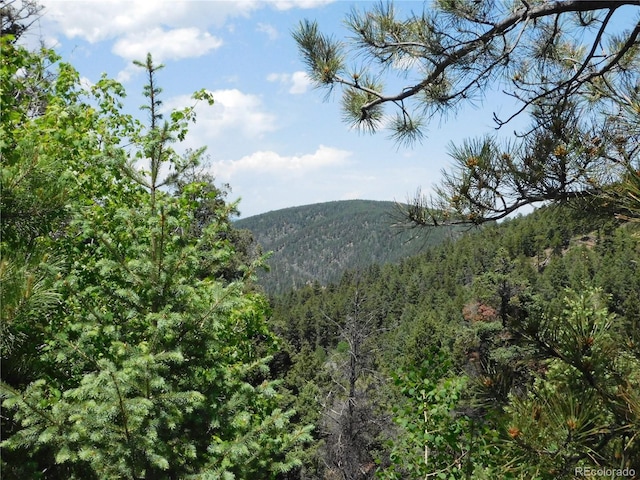 13371 Spruce Creek Cir, Larkspur, CO 80118