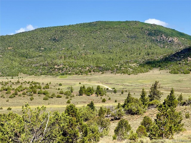 TBD County Road 31 U, Norwood, CO 81423