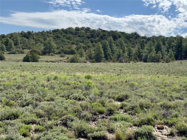TBD County Road 31 U, Norwood, CO 81423