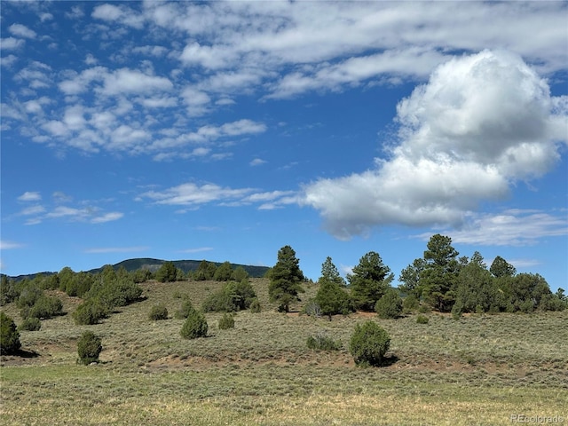 TBD County Road 31 U, Norwood, CO 81423