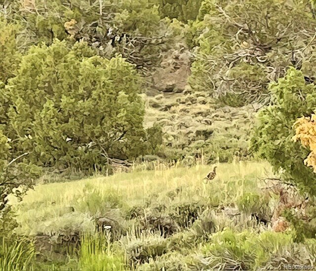 TBD County Road 31 U, Norwood, CO 81423