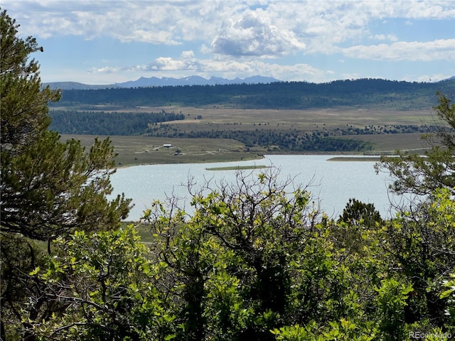 TBD County Road 31 U, Norwood, CO 81423