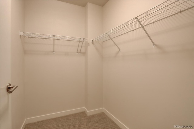 spacious closet with carpet flooring