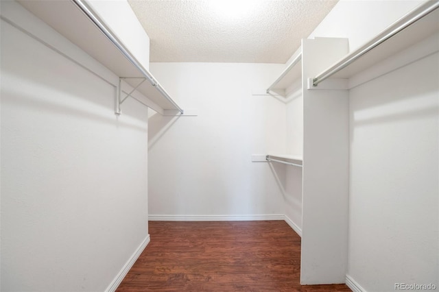 19421 E Milan Cir, Aurora, CO 80013 - walk in closet featuring wood finished floors