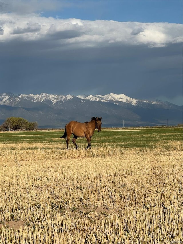 19993 County Road 59, Moffat, CO 81143