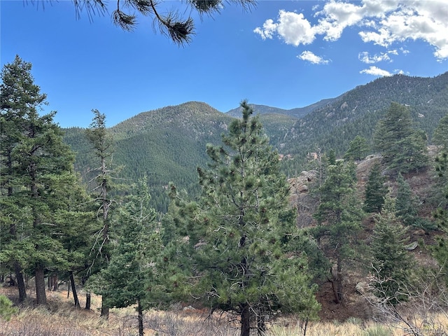 5565 Founders, Manitou Springs, CO 80829