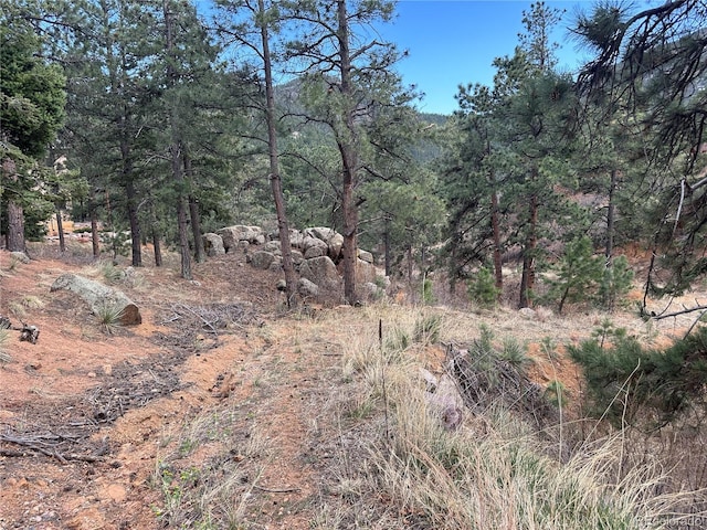 5565 Founders, Manitou Springs, CO 80829