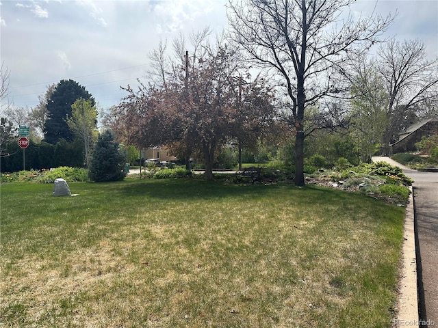 view of yard