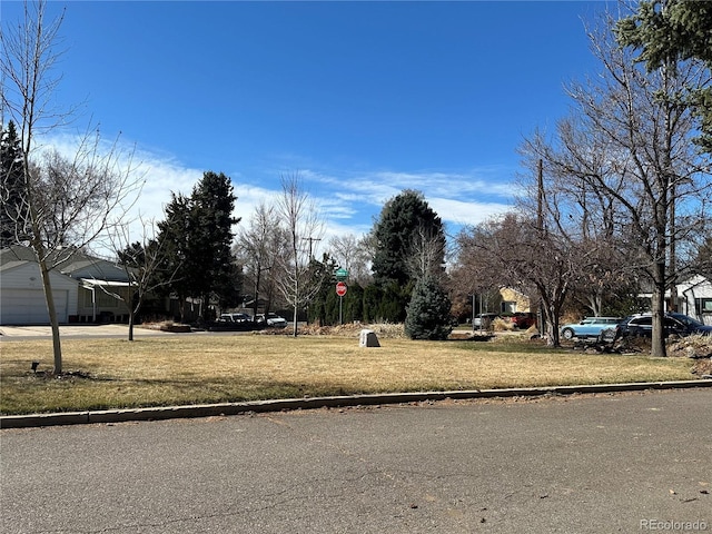 view of street featuring curbs