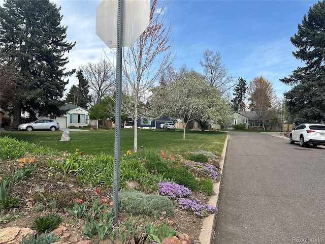 view of road featuring curbs